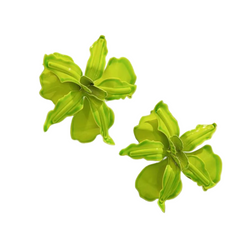 Island Bloom Earrings